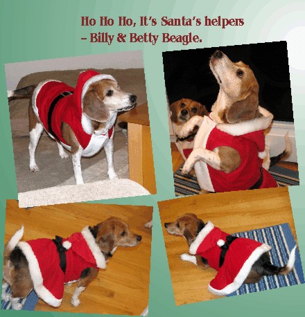 Ho Ho Ho, Santa's beagle helpers