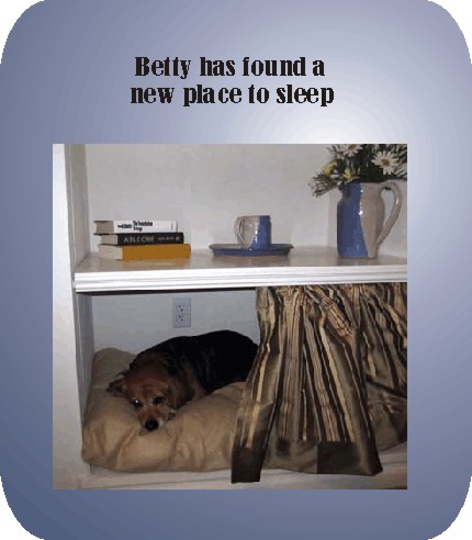 Betty has found a new place to sleep