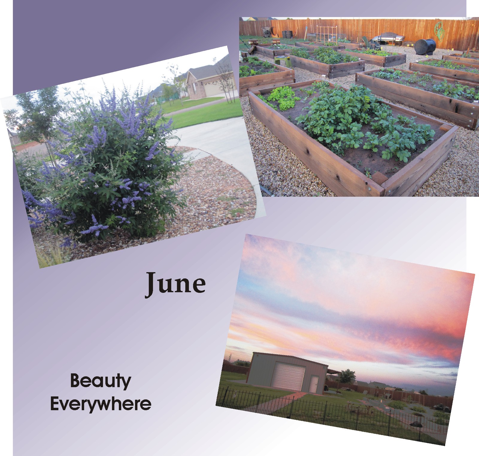 A Year of Pics - 2015 - June