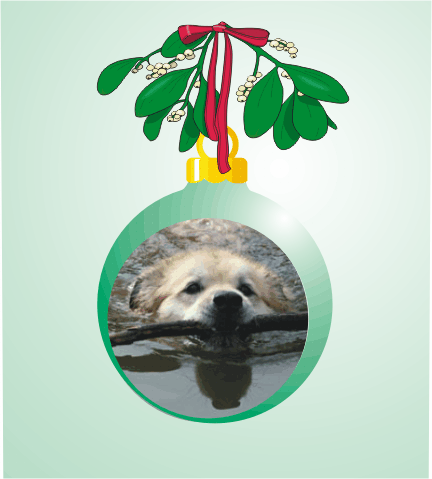 Lucky - don't drop it.