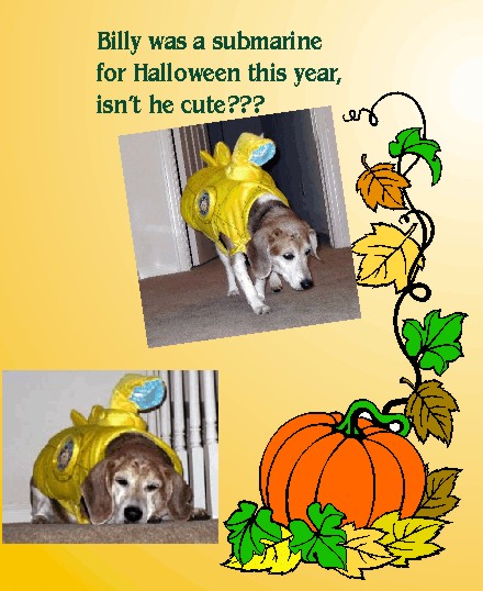 Billy was a submarine for Halloween