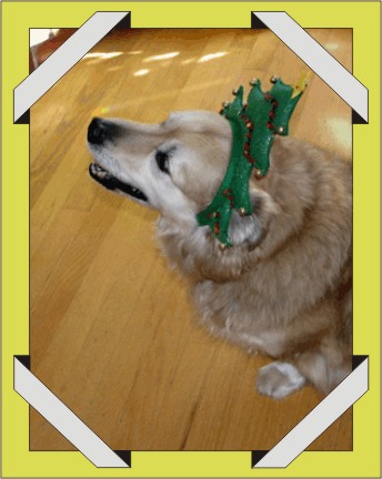 Lucky-Dog - love the hat