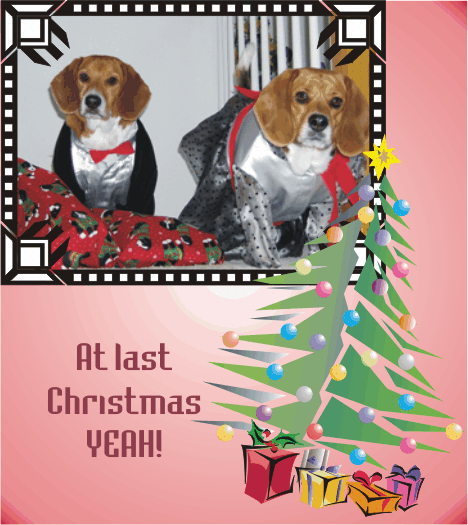 Merry Christmas and a Joyful New Year!