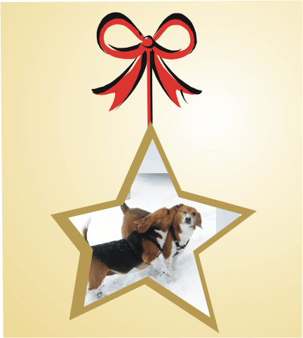 Betty stop bossing your bother