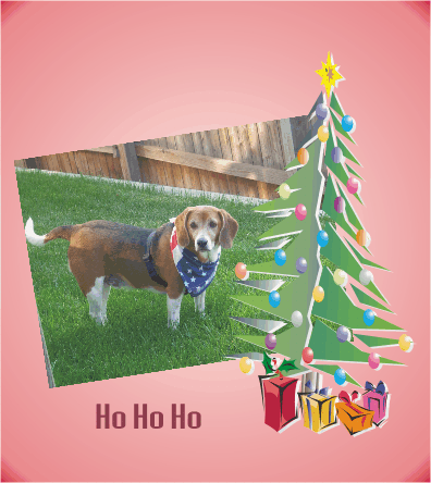 Billy's alway a patriot