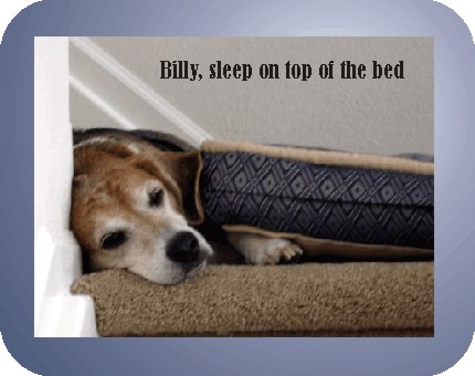 You'll be more comfortable on TOP