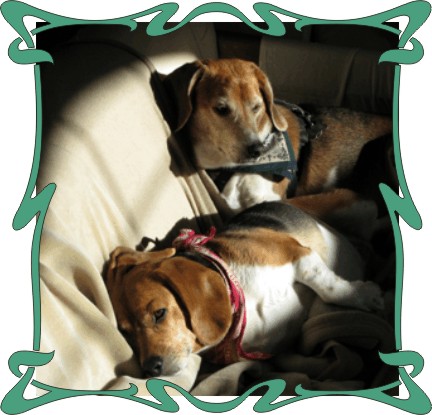 Betty & Billy getting ready for Christmas