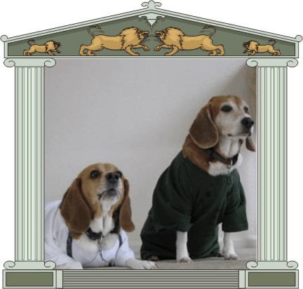 Billy & Betty stoic while waiting for Christmas