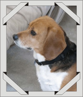 Betty, such a pretty girl