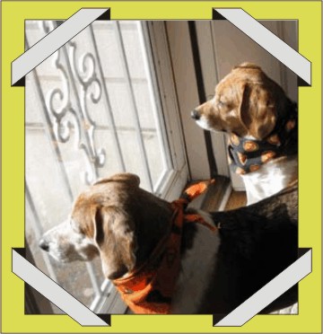 Betty & Billy, looking out the door won't make Christmas come faster