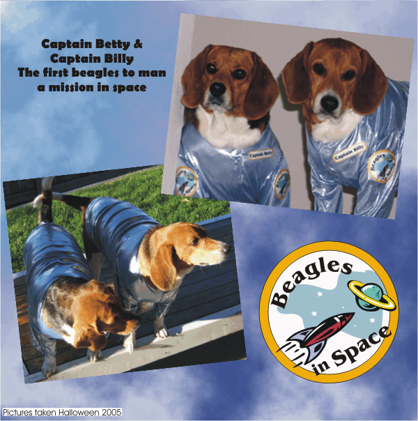 Hope Billy Beagle & Betty Beagle don't get Lost in Space.