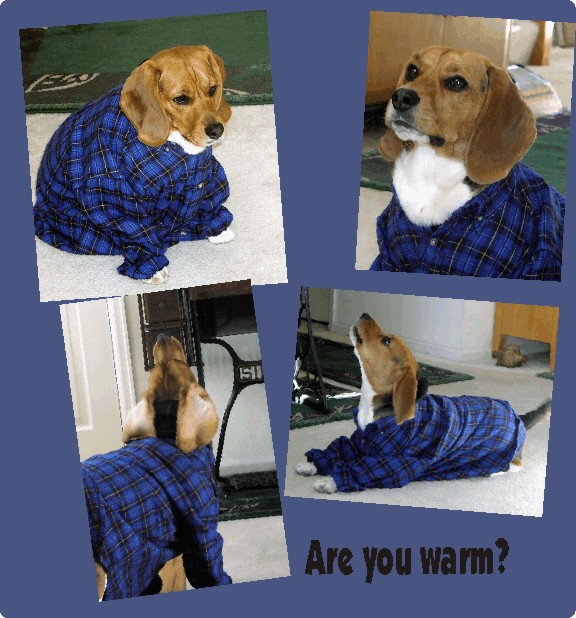 Where did you get that blue flannel shirt?