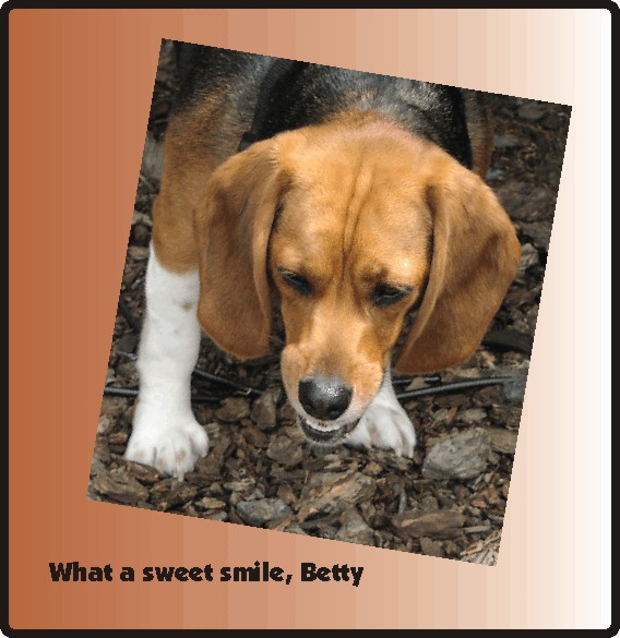 Betty Beagle - smiling