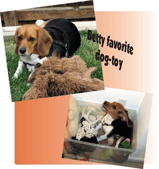 Betty Beagle - her favorite toy