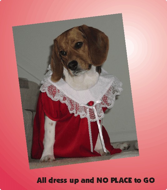 Betty Sue Beagle says, "Merry Christmas"