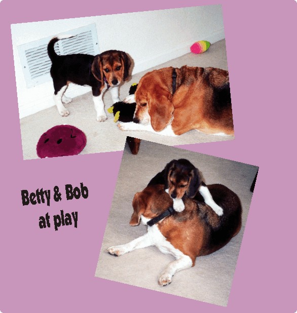 Bob & Betty at play