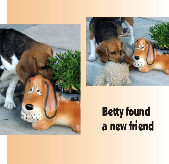 Betty's found a friend