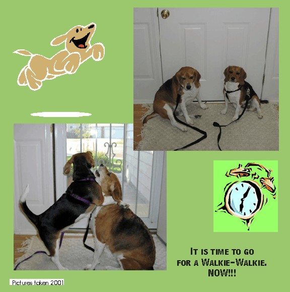 Let's go for our walk already