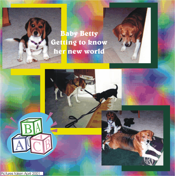 Poor Bob, Betty is already bossing him around
