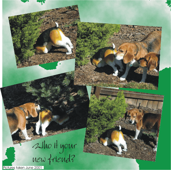 Bob Beagle & Betty Beagle have a new friend