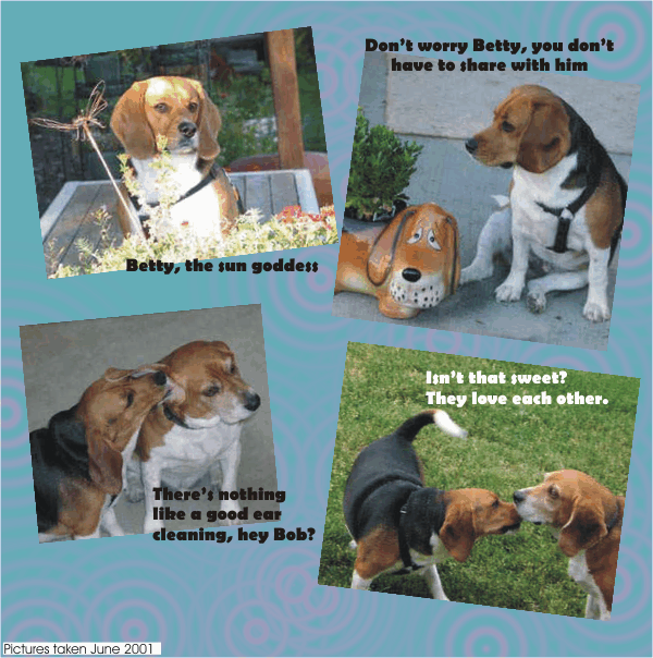 Love that Bob the Beagle and Betty Beagle.