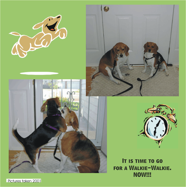 Betty & Bob Beagle live for those Walkie-Walkies
