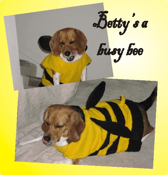 Betty is a Busy Bee for Halloween