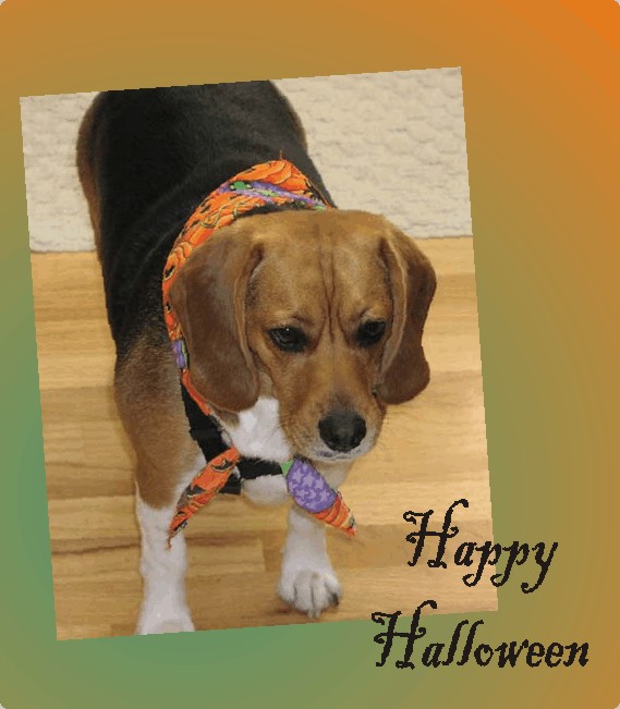 Betty says, "Happy Halloween"