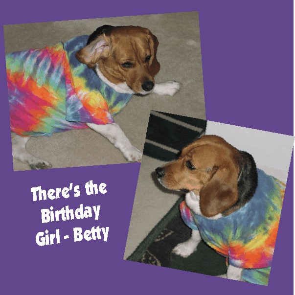 Sleeping beagles - Betty & Bob