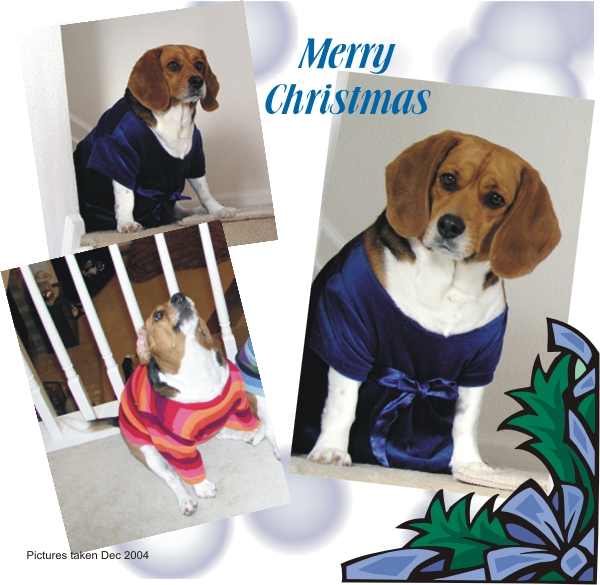 Betty Beagle says, "Merry, Merry Christmas"