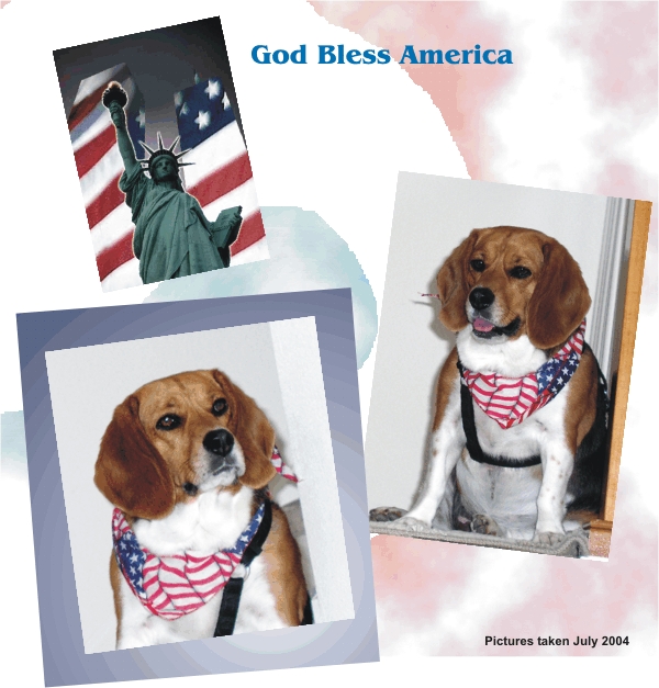 Betty Beagle celebrates July Fourth