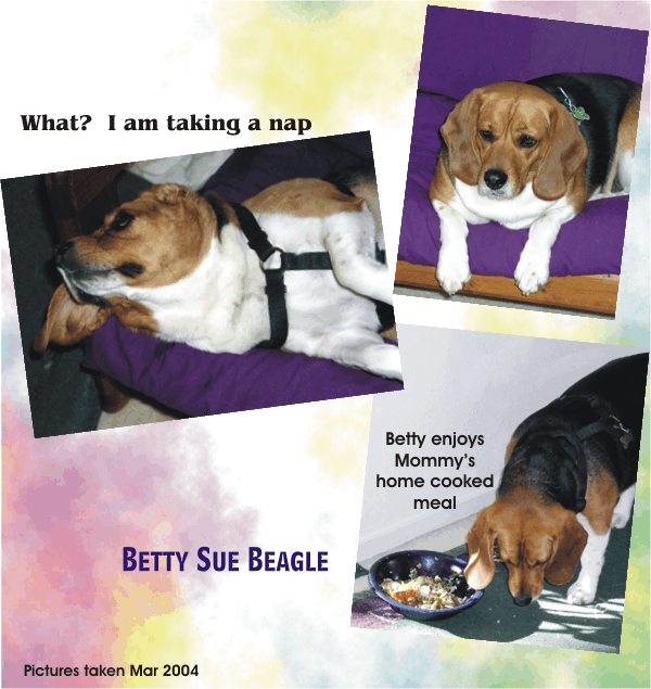 Betty Sue Beagle - I'm ready to take a nap