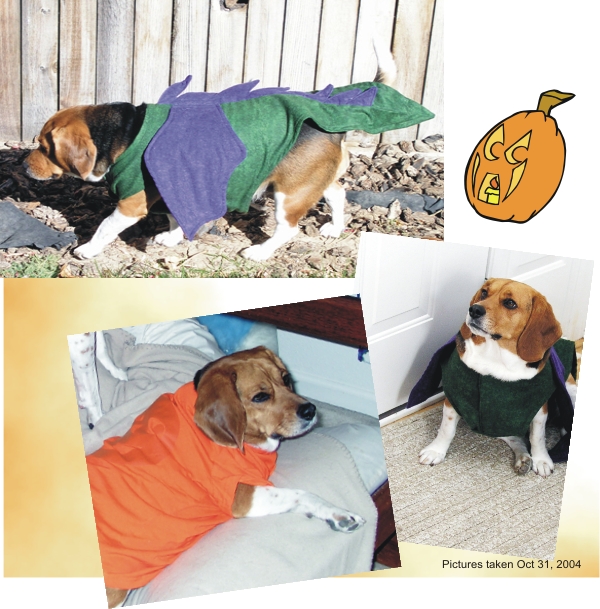 Happy Halloween, Betty Beagle