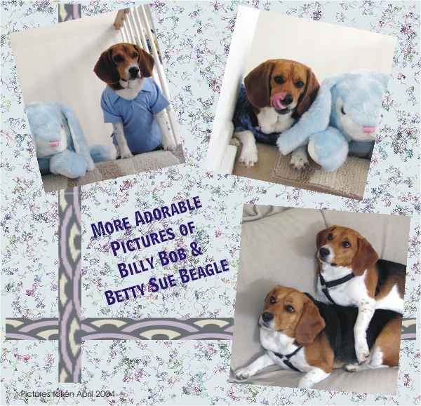 More Adorable Pictures of Billy Bob Beagle and Betty Sue Beagle