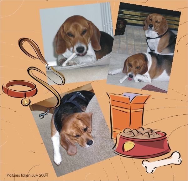Billy Beagle & Betty Beagle love those chew bones