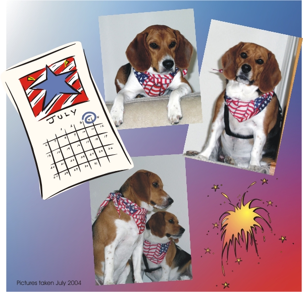 Billy & Betty Beagle celebrate the Fourth of July
