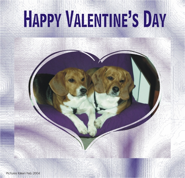 Betty and Billy Beagle waiting to go a walk