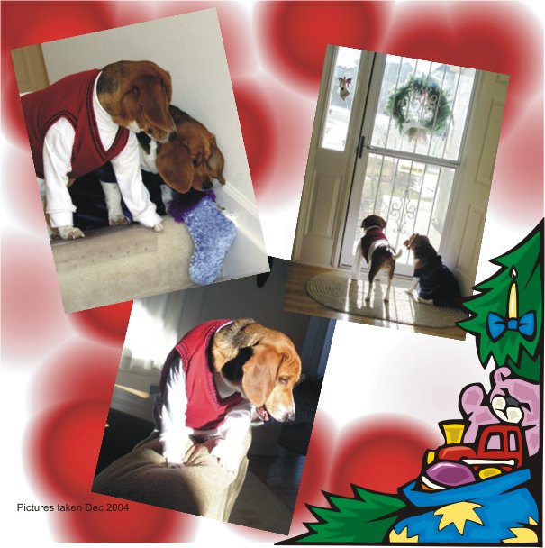 Billy Bob Beagle & Betty Sue Beagle ready for Christmas 2004