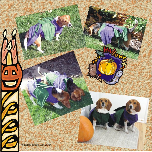 Beagle Dragons - Betty Beagle & Billy Beagle - so scary