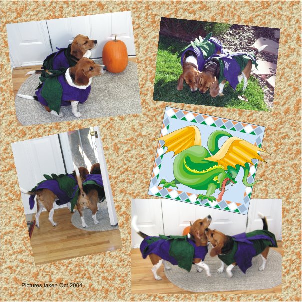 Betty Beagle & Billy Beagle love their Dragon Costumes.  This is Billy's first Halloween.