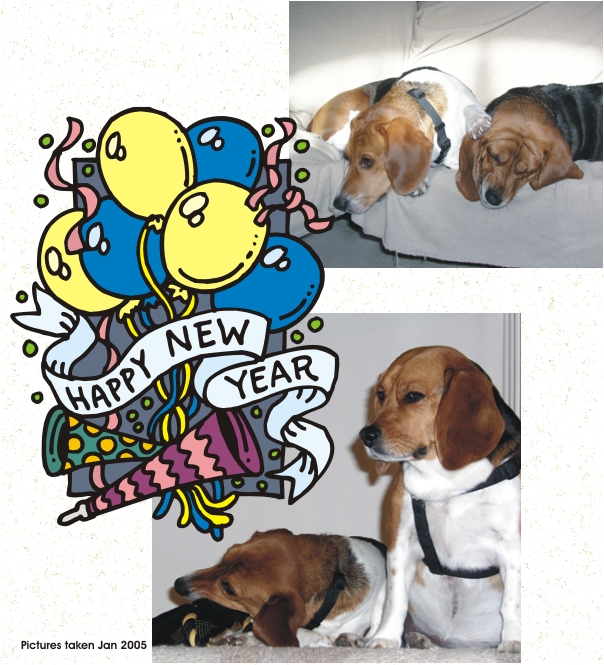 Betty Beagle & Billy Beagle, real party animals