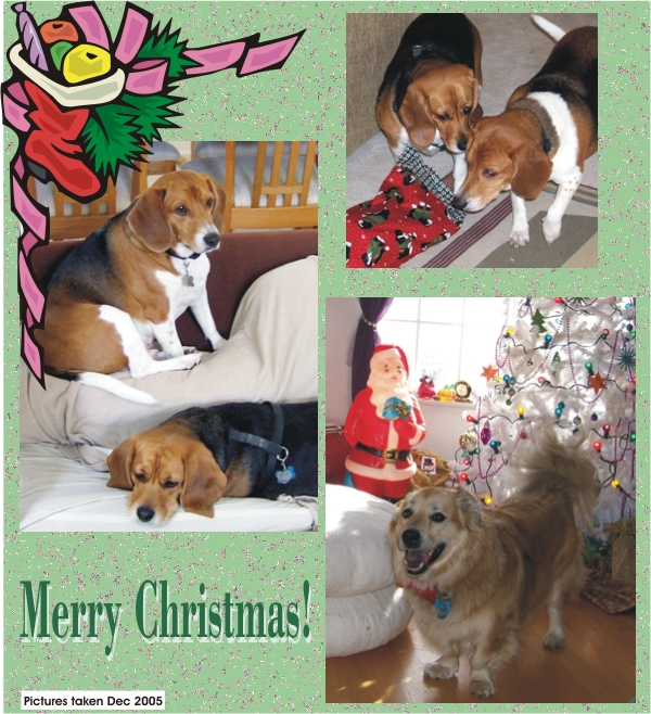 Betty Beagle & Billy Beagle - Merry Christmas 2005