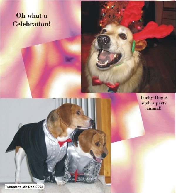 Betty Beagle & Billy Beagle - celebrating Christmas