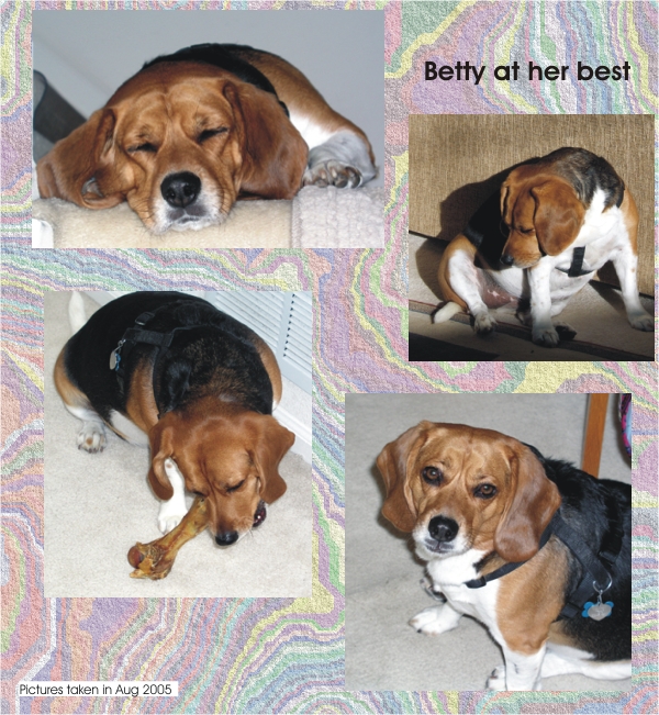 Betty Beagle at her best