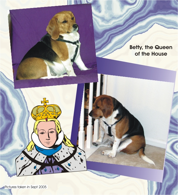 Betty Beagle is queen of the house