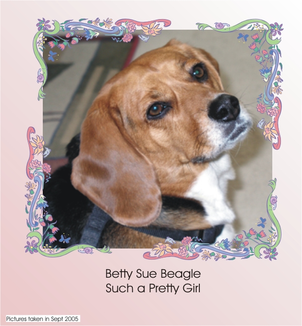 Betty Sue Beagle is such a pretty girls