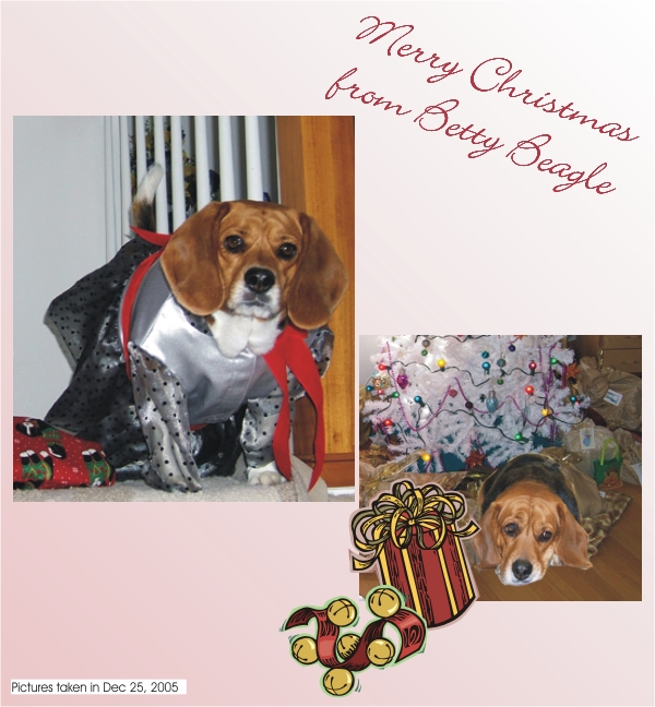Merry Christmas, 2005 from Betty Sue Beagle