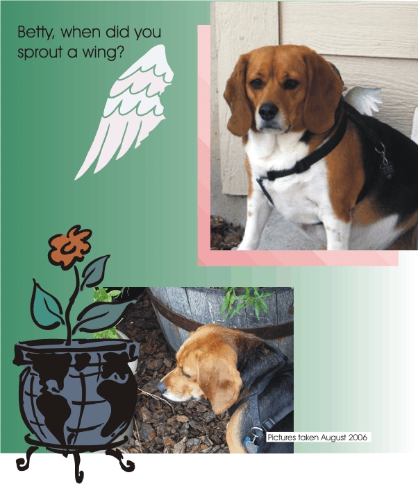 Betty Beagle - Sprout a wing, did you?
