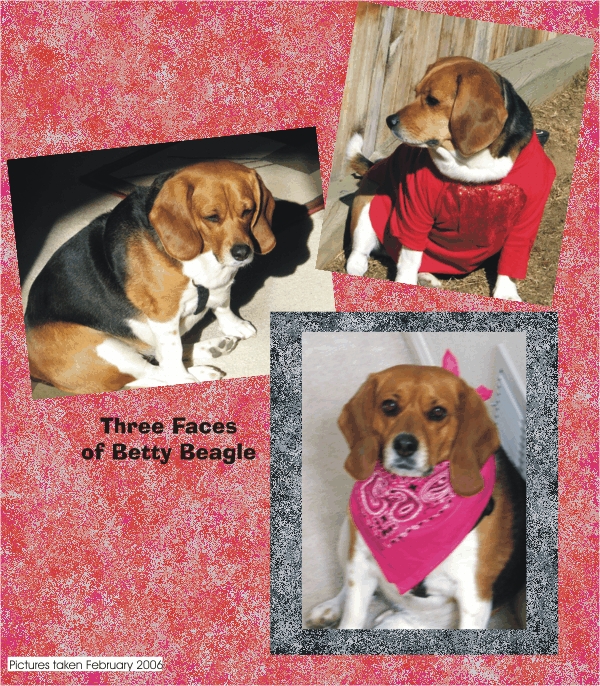 Three Faces of Betty Beagle