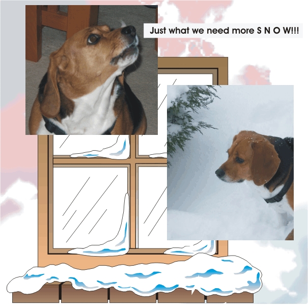 Betty Beagle - just want we need - more snow